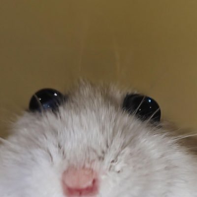 count zoloft's profile picture