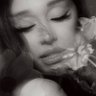 cyn ꕤ profil fotoğrafı