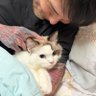 風捎來的信 profil fotoğrafı