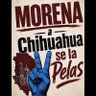 LA DE LOS OTROS DATOS (LOS REALES).'s profile picture