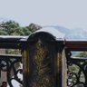 Фото профиля Shreyansh Mishra