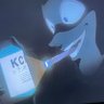 Snowy's profile picture