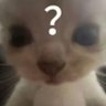 drop's profile picture