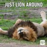 LeoRahul's profile picture