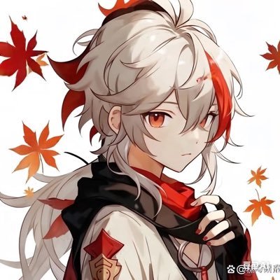 枫's profile picture