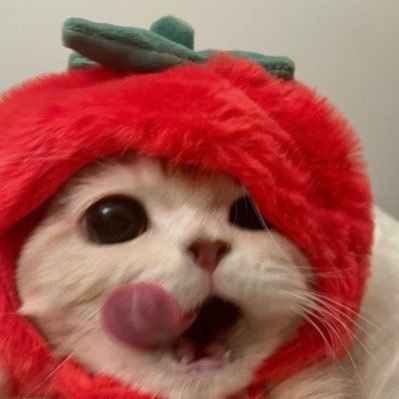 mybenchi's profile picture