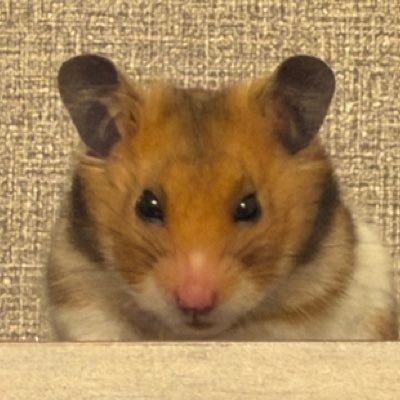 kenya_FA24's profile picture