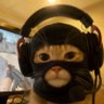 Profilbild von Nxrthblu