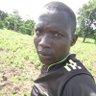 Nkulunziza Felix Nelson's profile picture