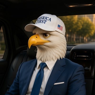 Legal Eagle Groyper's profile picture