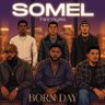 Фото профиля Somel
