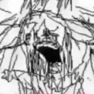 roaz's profile picture