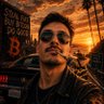Bitcoin Maverick 的头像