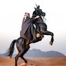 تامر الأبرش's profile picture