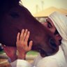 عاصم عنزه's profile picture