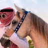 حمزة الشواف's profile picture