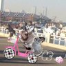 通りすがりのおっさん😅 的头像