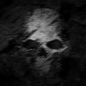 Shadow Reaper's profile picture