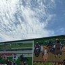 Фото профиля poseur