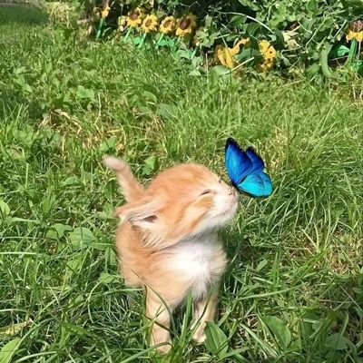 amoy ♡'s profile picture