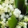 Фото профиля 復活
