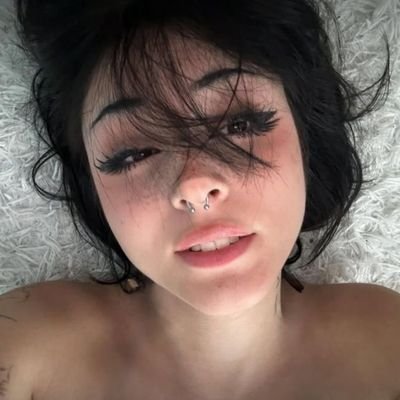 onlypawgpics's profile picture