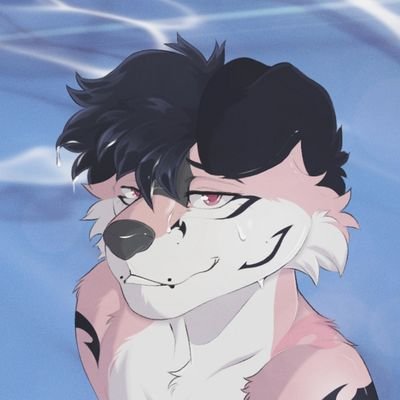 S6ftMutt's profile picture