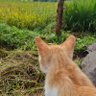 lili profil fotoğrafı