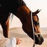 Фото профиля سلمان اليامي