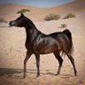 Фото профиля زايد المطيري