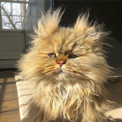 BBYG_TH's profile picture