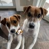 Baby Beatrice & Little Bear's profile picture