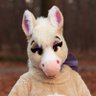 🍂 Hazel Horse 🍂's profile picture