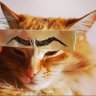梨山猫衛門 profil fotoğrafı