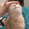 oscarryswet's profile picture