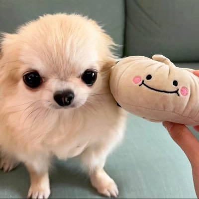 YuLu俞欲's profile picture