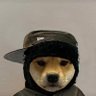 Profilbild von Dflex