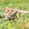 ぬん profil fotoğrafı