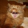 Profilbild von WinXP