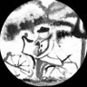 サク戦争反対!憲法改正反対!玉城デニー知事を応援📣's profile picture