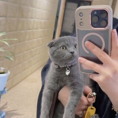 KrimRym73114's profile picture