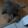 sklaveluca profil fotoğrafı
