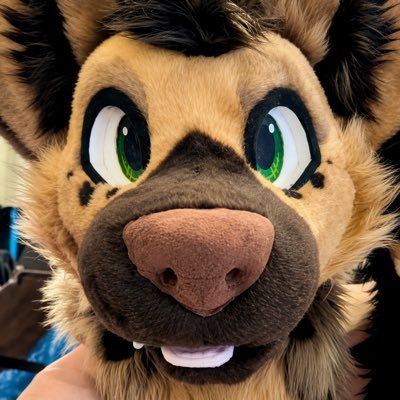 Nico ΘΔ 🍪 🔜 MP's profile picture