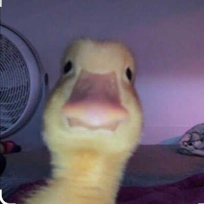 tp.pron 😋's profile picture