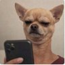 ivanovic's profile picture
