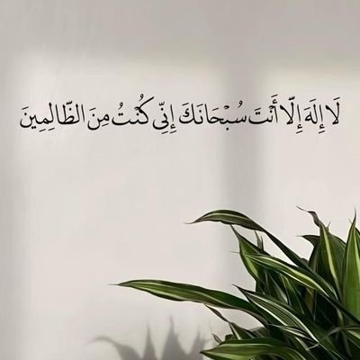 u5_ivq's profile picture