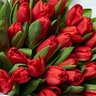 redtulips's profile picture