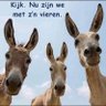 سيد أصلي 的头像