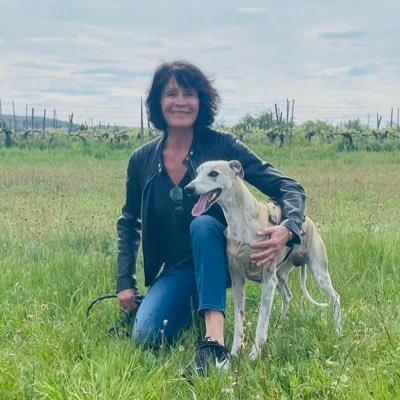 DieNasevoll's profile picture