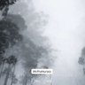 My Opinion 的头像